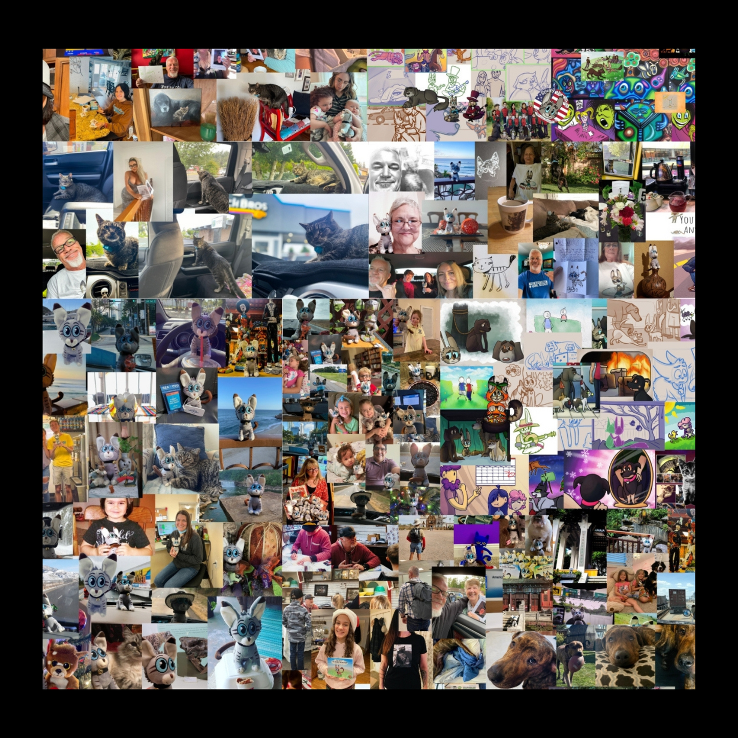 2,264 Days of Magic - Sticky the Kitty ; A Life In Photos