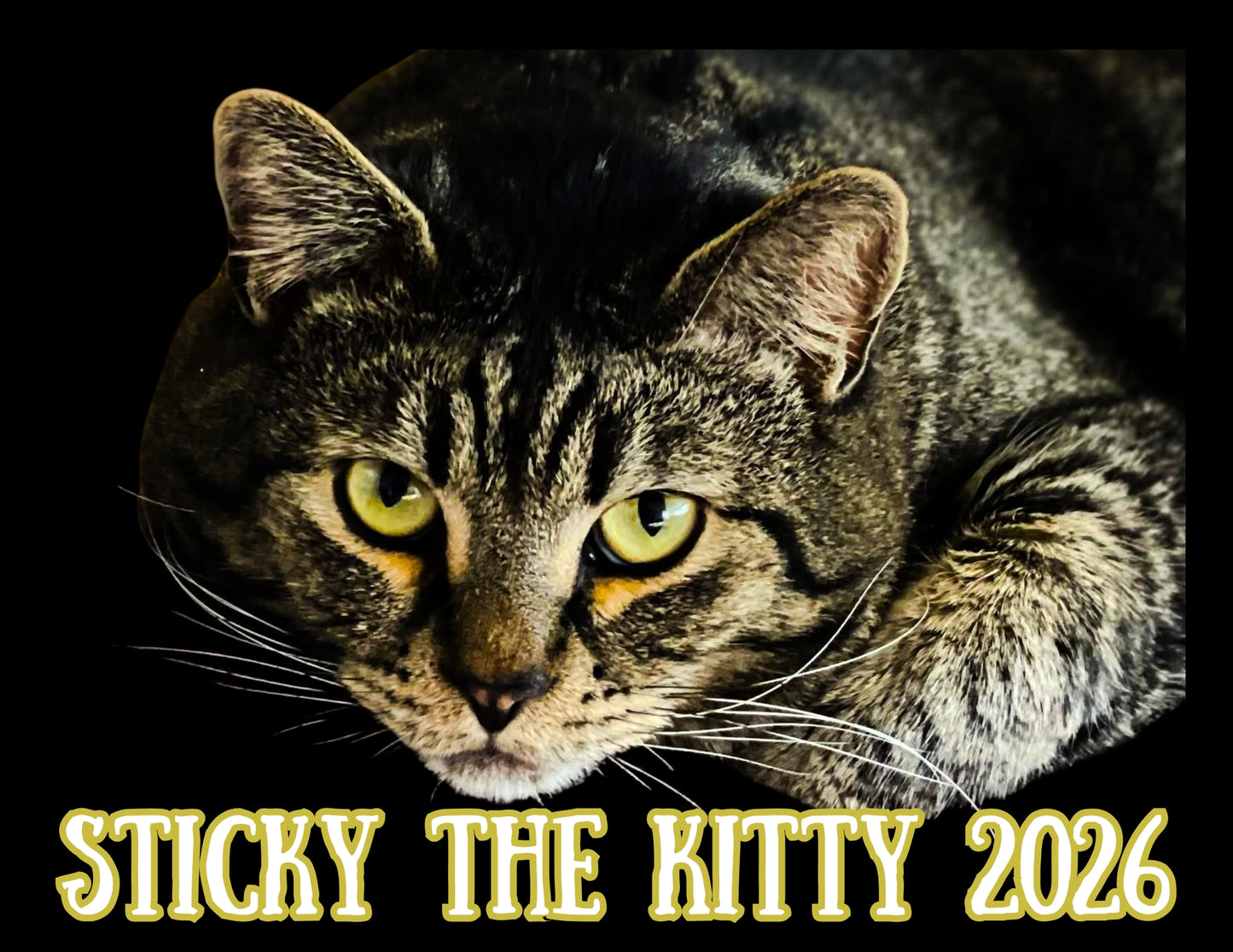 Sticky the Kitty 2026 Calendar -Ships December 1st