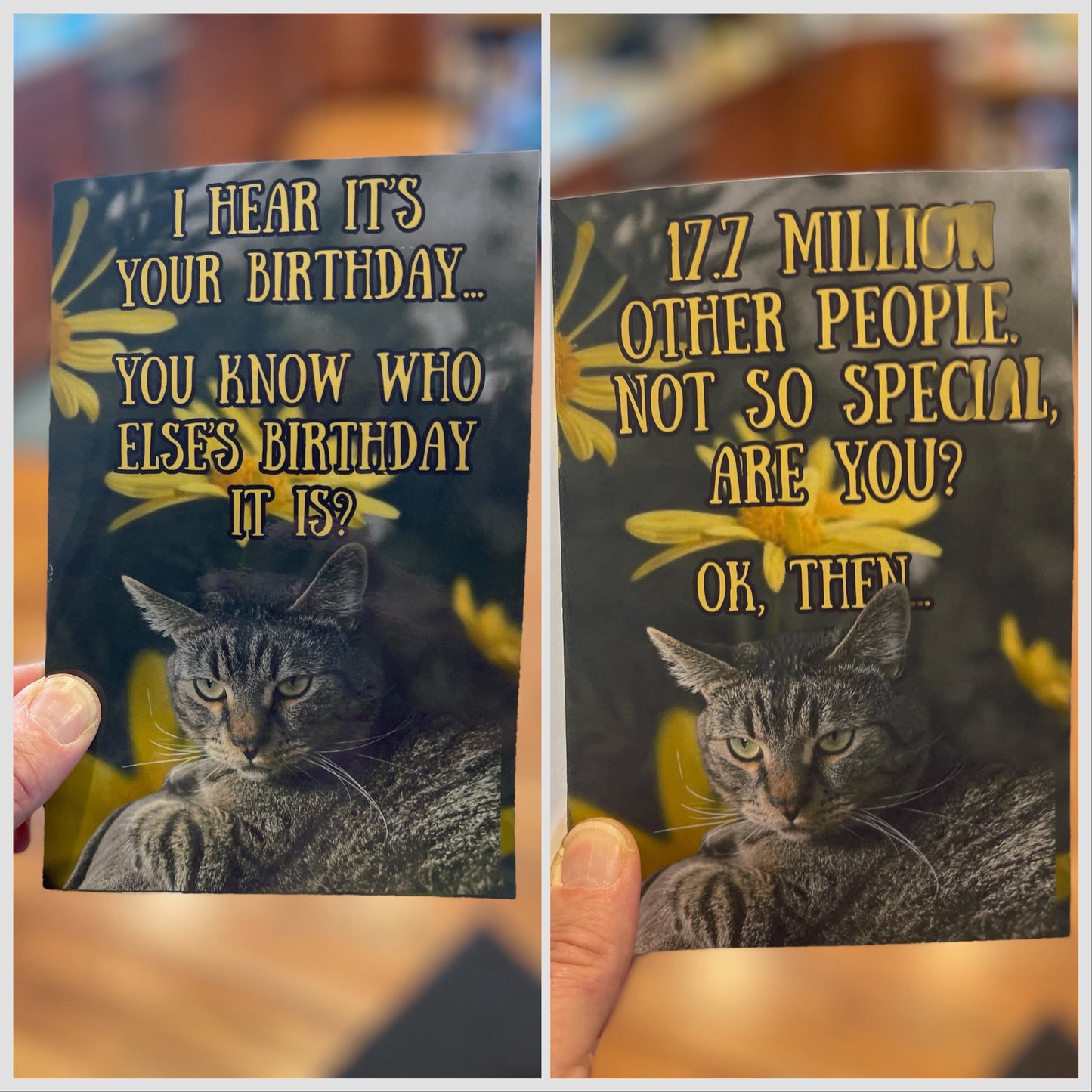 “I hear it’s your birthday…” 5x7