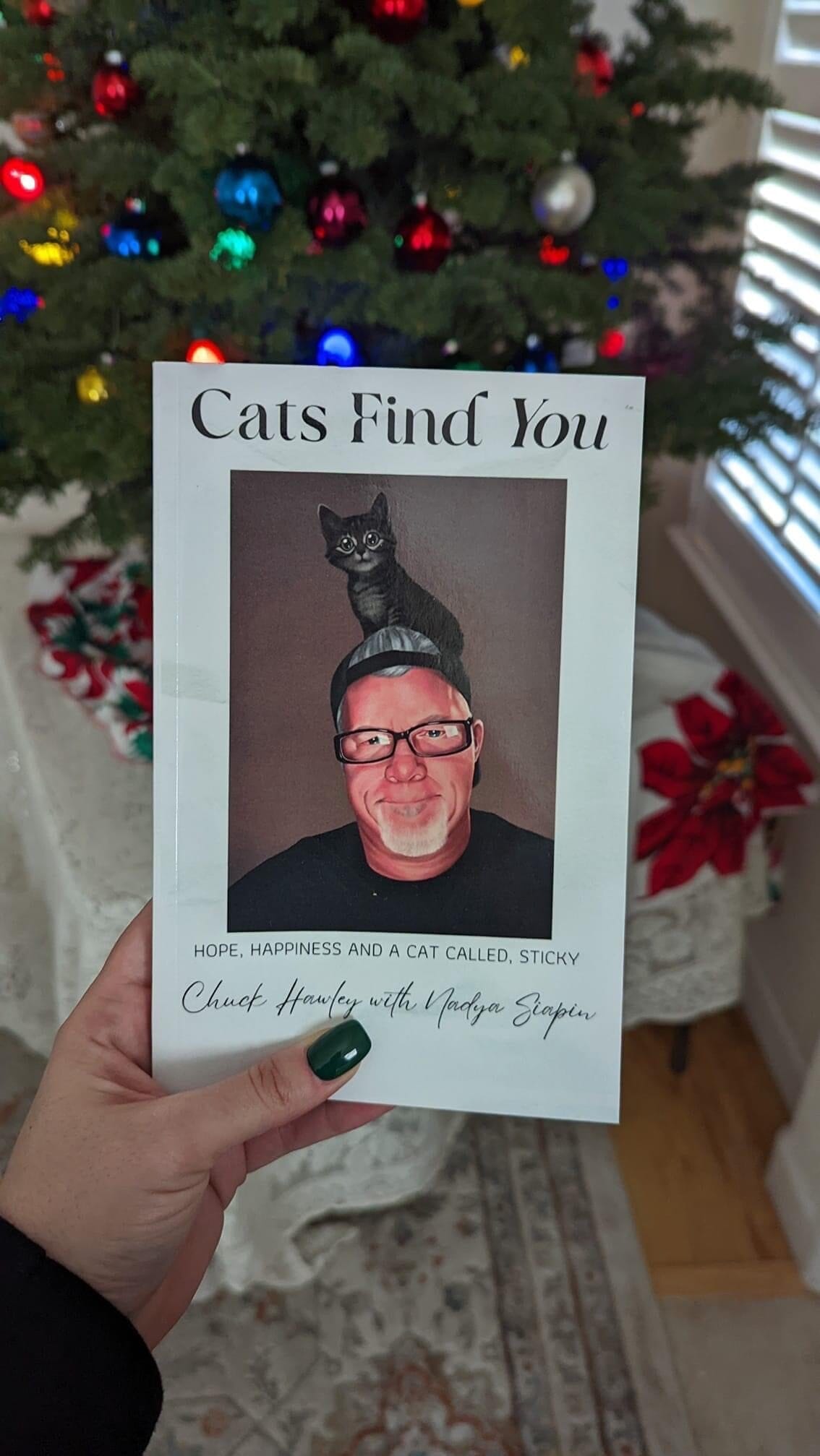 Cats Find You - Immediate Digital Download
