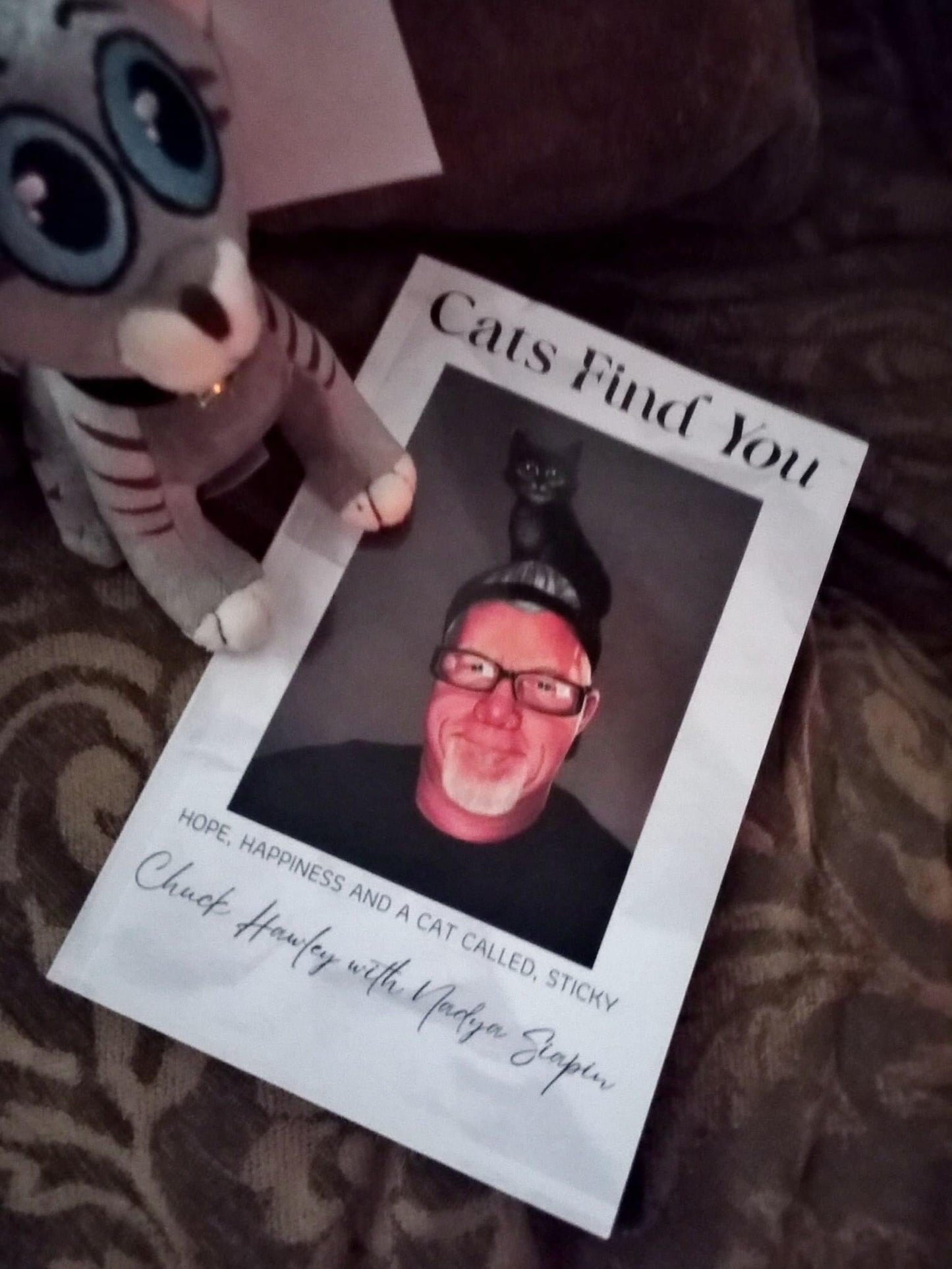 Cats Find You - Hope, Happiness and a cat called Sticky Paperback-Personalized and Autographed and shipped in a life size giant head envelope... for better or worse!:)