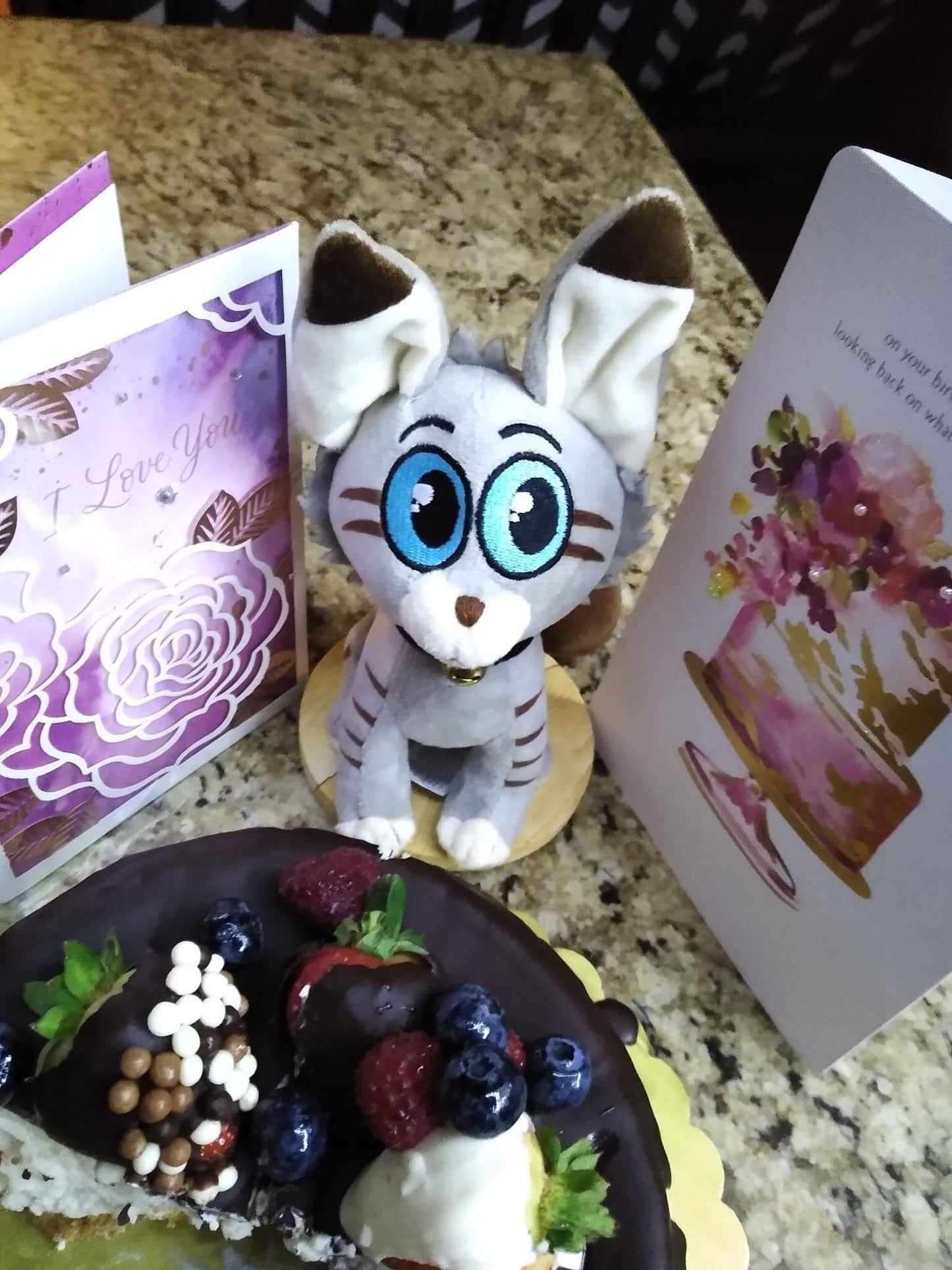 Sticky the Kitty, Stuffie!
