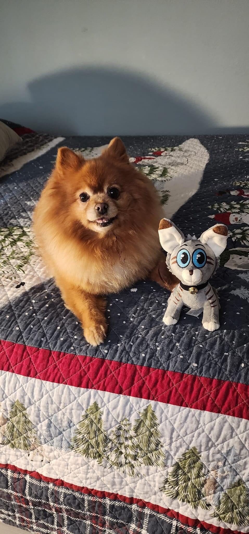 Sticky the Kitty, Stuffie!
