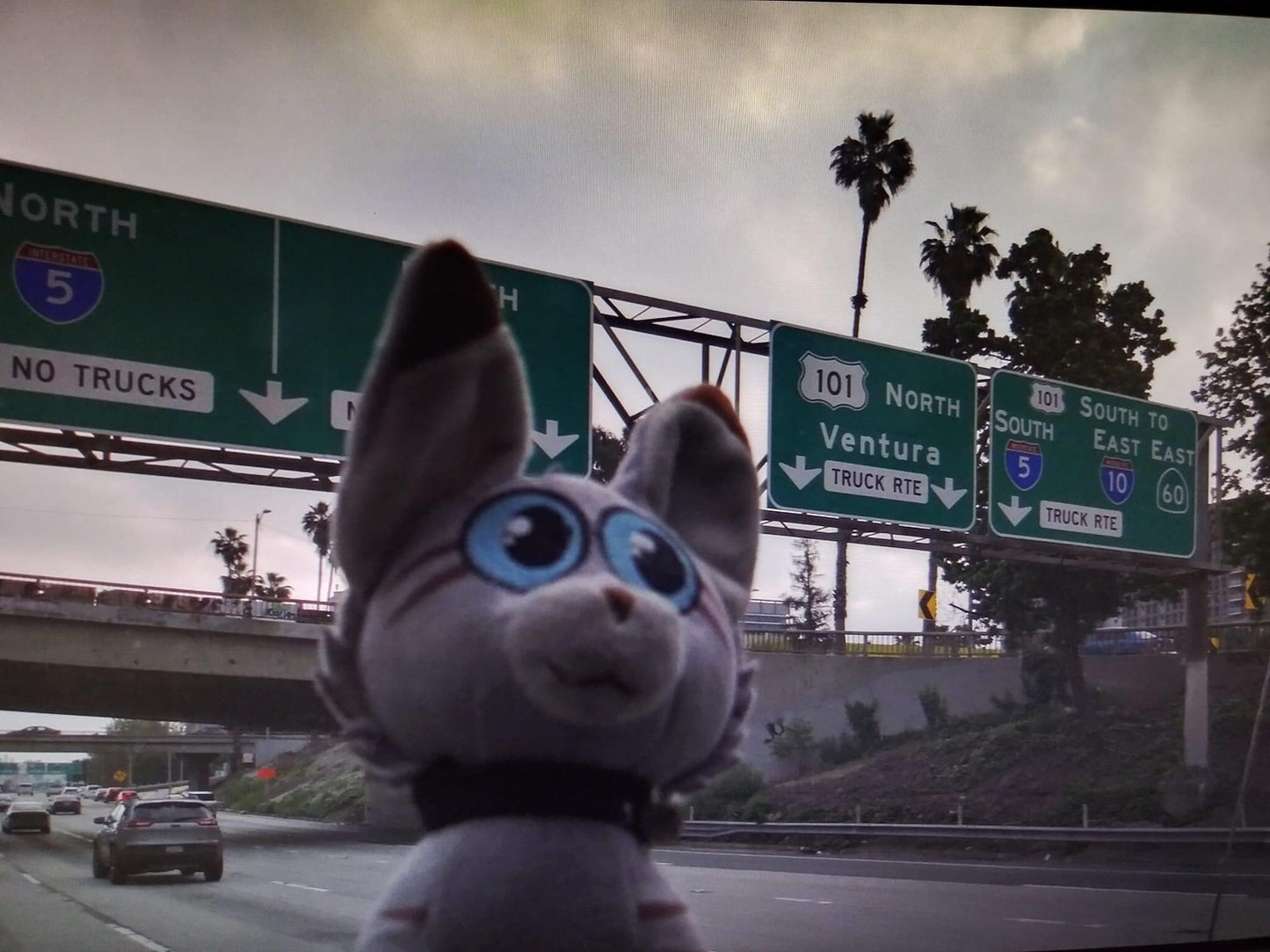 Sticky the Kitty, Stuffie!