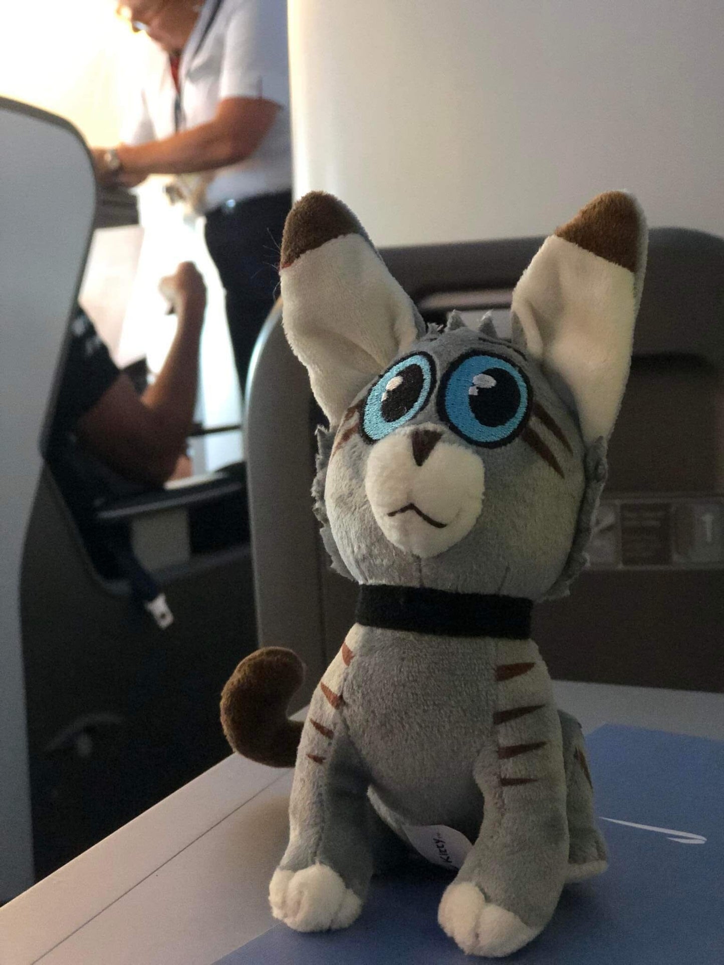 Sticky the Kitty, Stuffie!