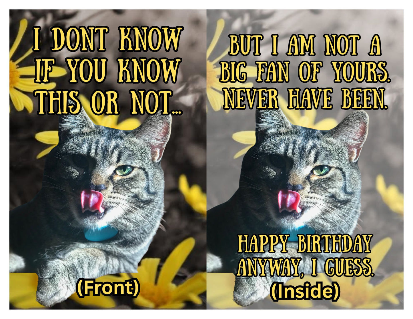 “Never been a fan…” 5x7 birthday card