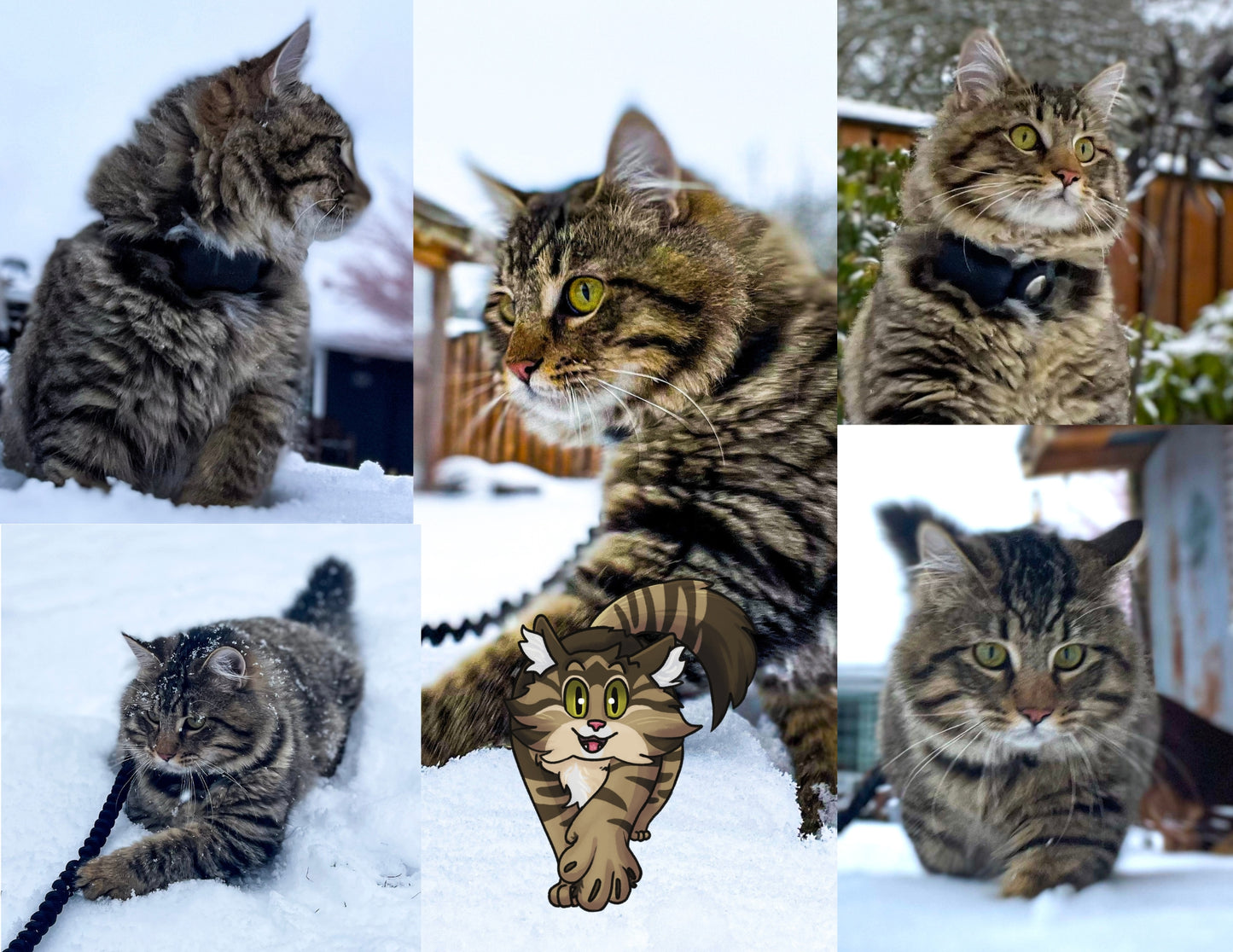 Sticky the Kitty 2026 Calendar -Ships December 1st
