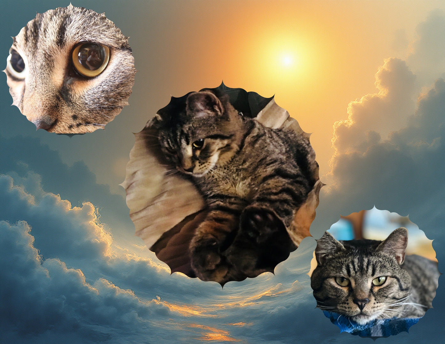 Sticky the Kitty 2026 Calendar -Ships December 1st