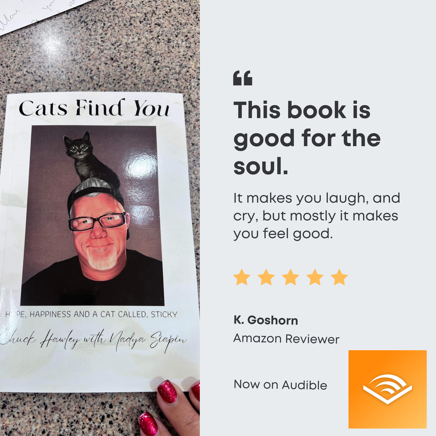 Book Club Bundle! 10, Cats Find You; Hope, Happiness and a cat called, Sticky for your book club, youth clubs or any other group needing a little hope!