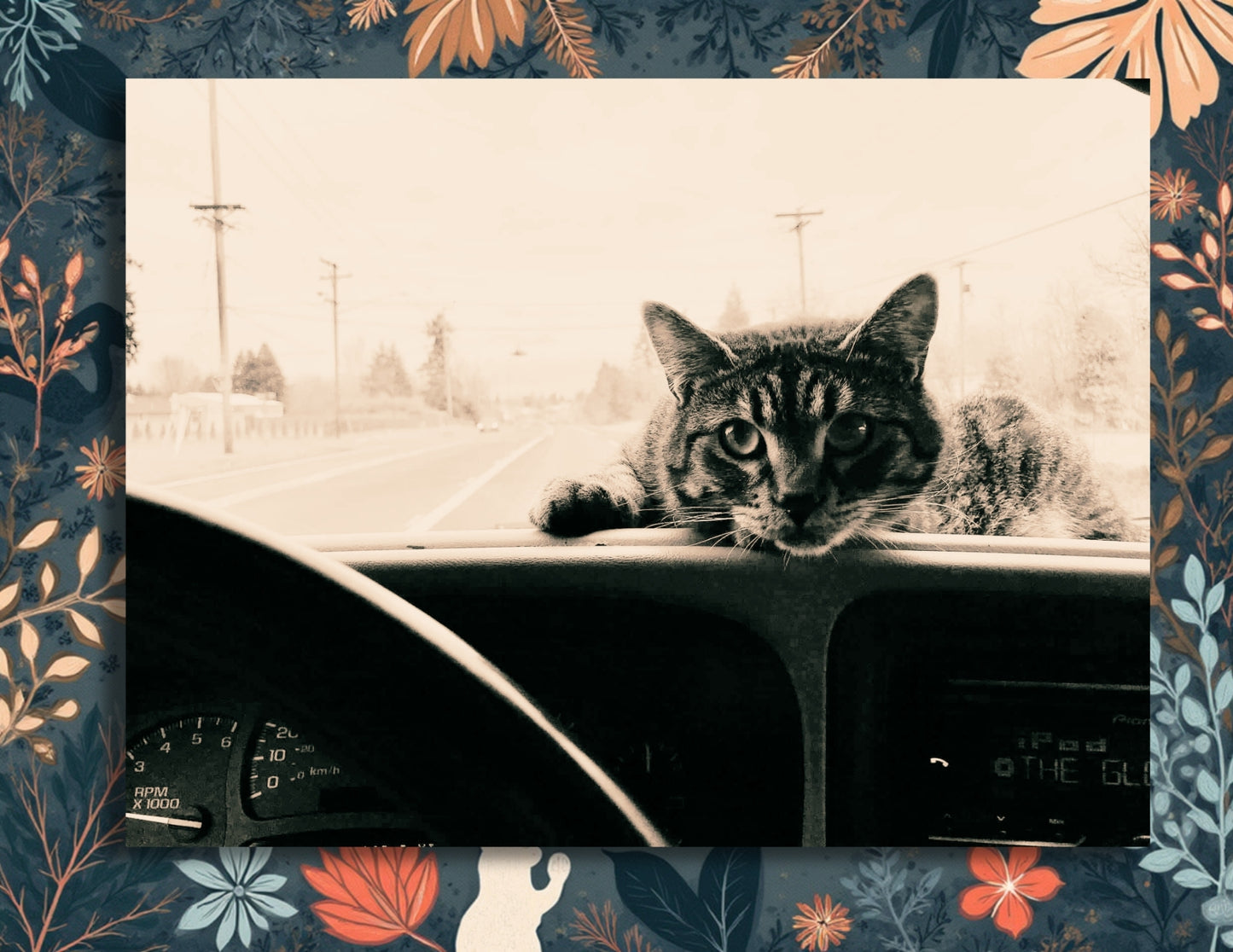 Sticky the Kitty 2026 Calendar -Ships December 1st