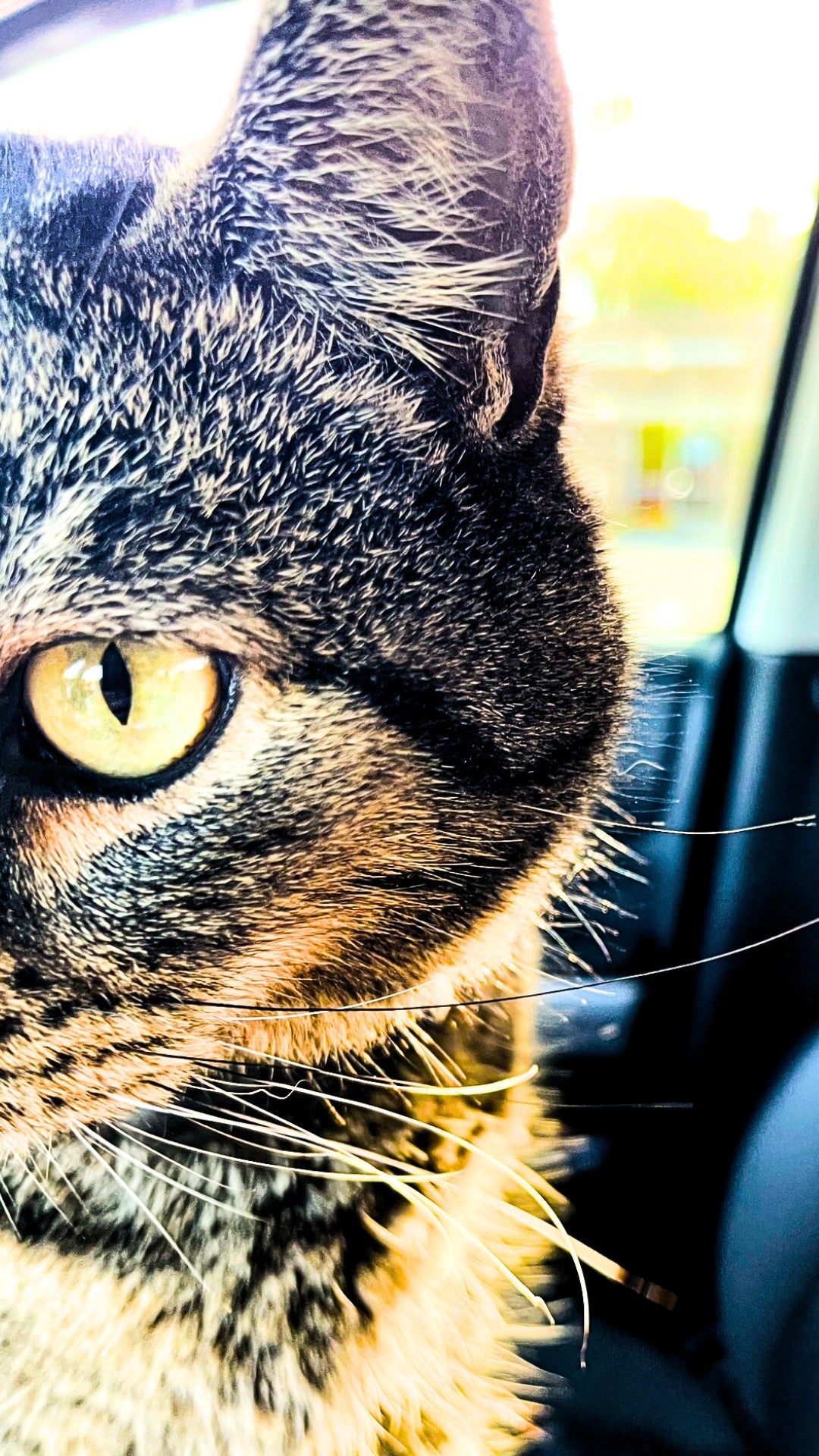 Free Lock Screen Downloads Pack - 1