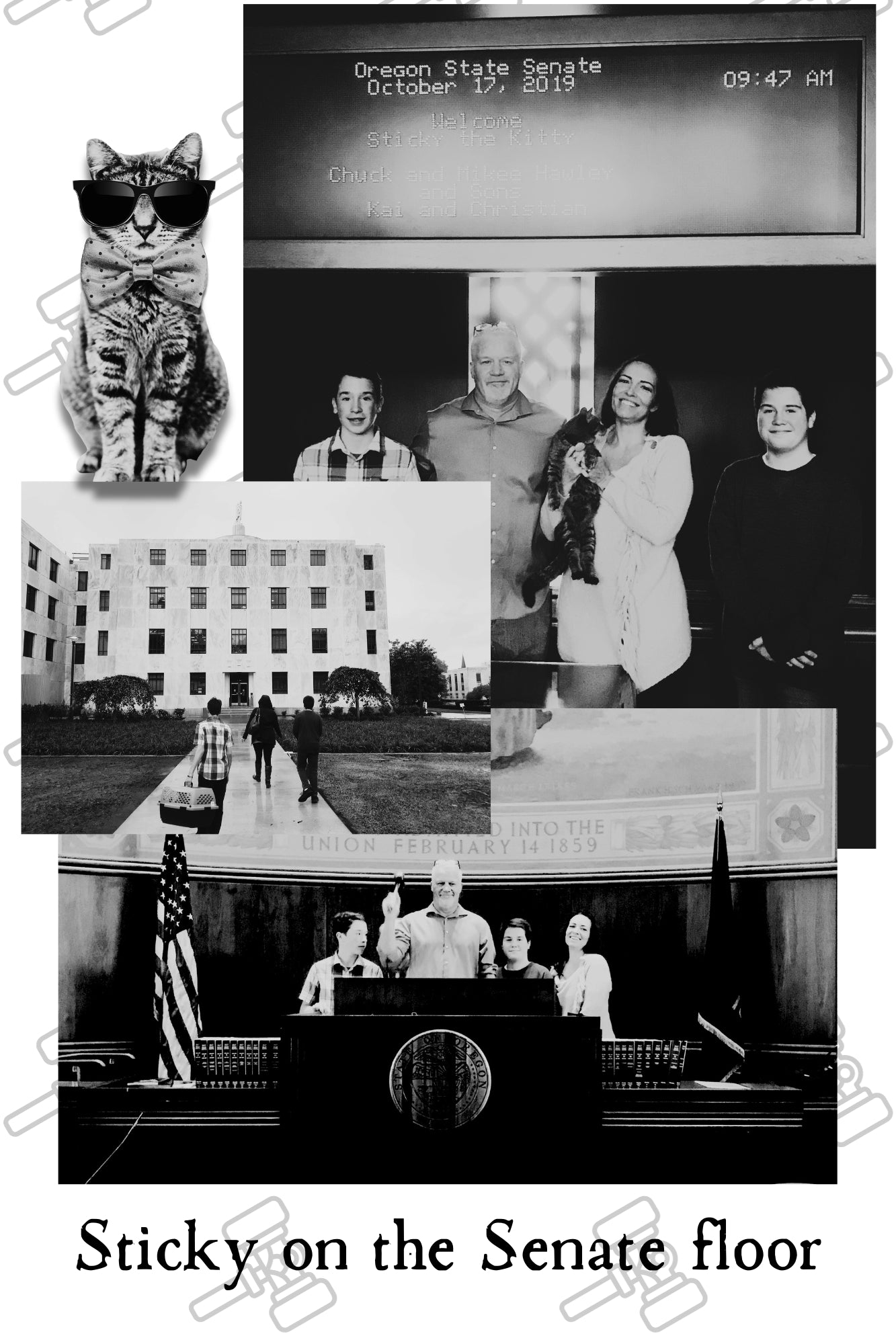 Cats Find You; The Important Stuff (Personalized and Signed by Chuck and, more importantly, Sticky!)