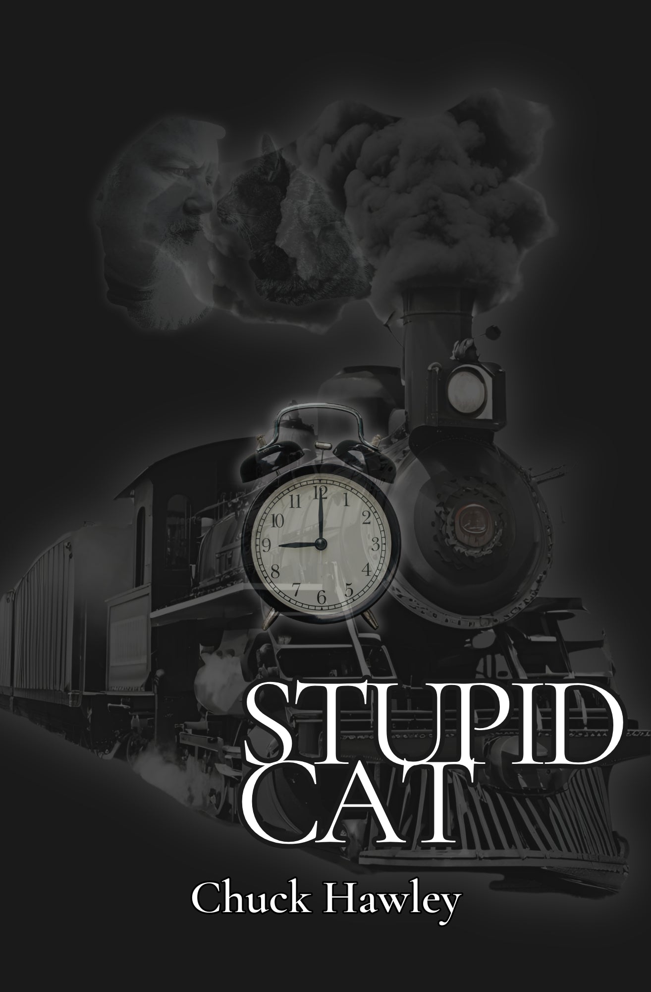 Stupid Cat  -  By Chuck Hawley Immediate Digital Download