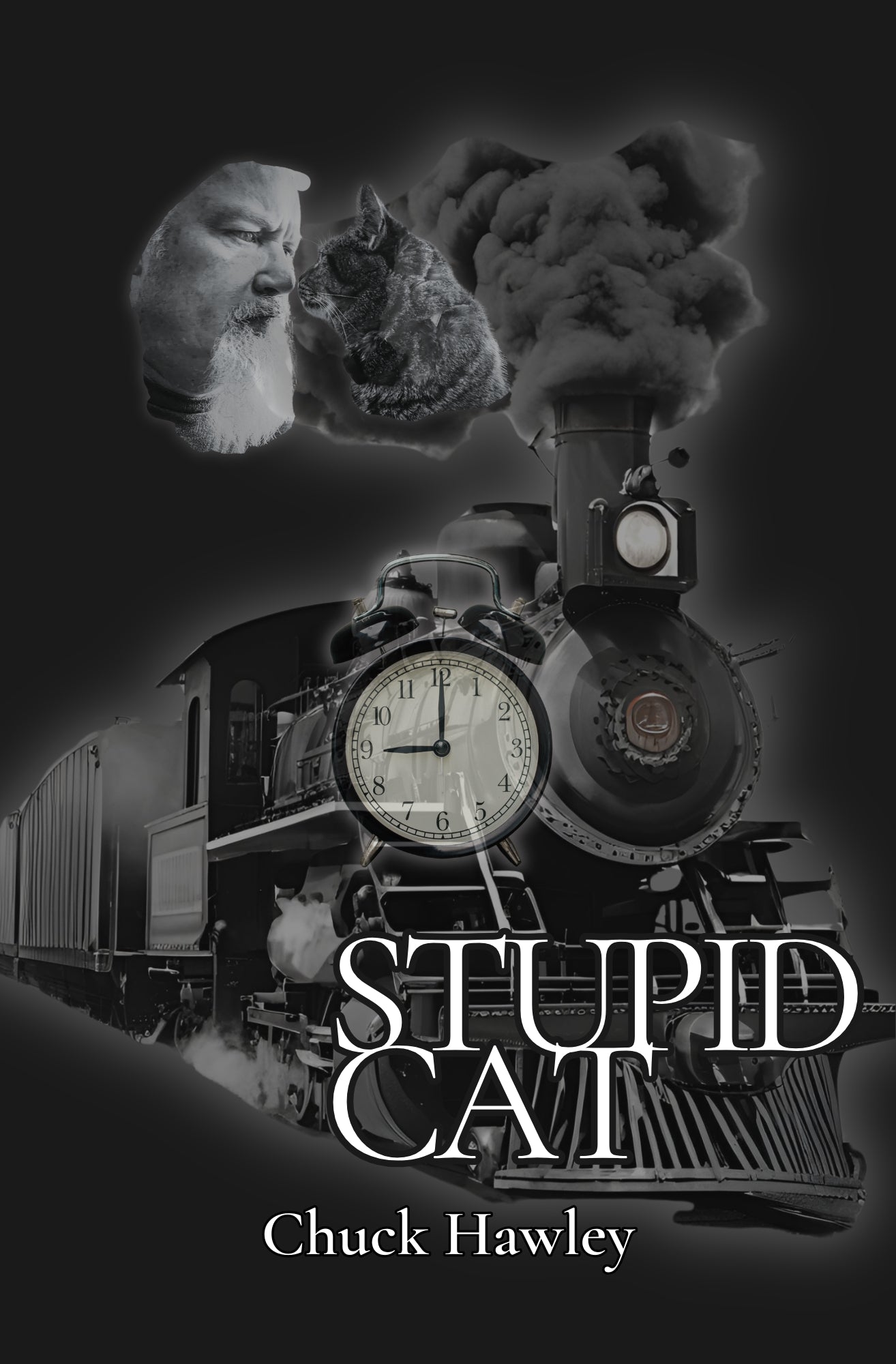 TWO CATS for one LOW PRICE!