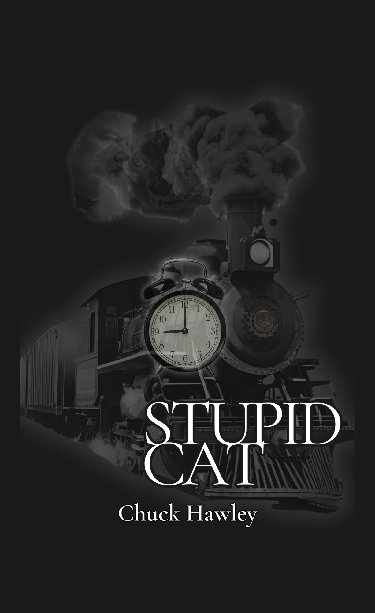 Stupid Cat  - Hardcover and Paperback