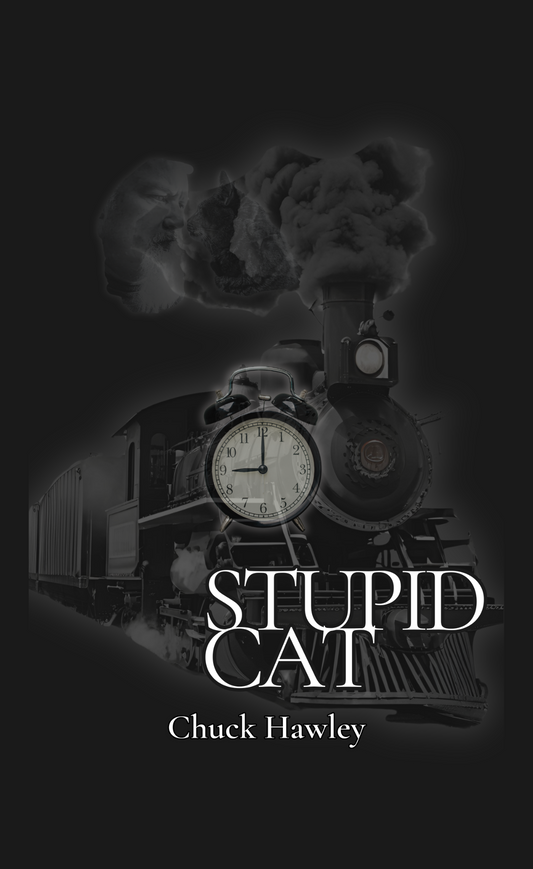 Stupid Cat  - Hardcover and Paperback