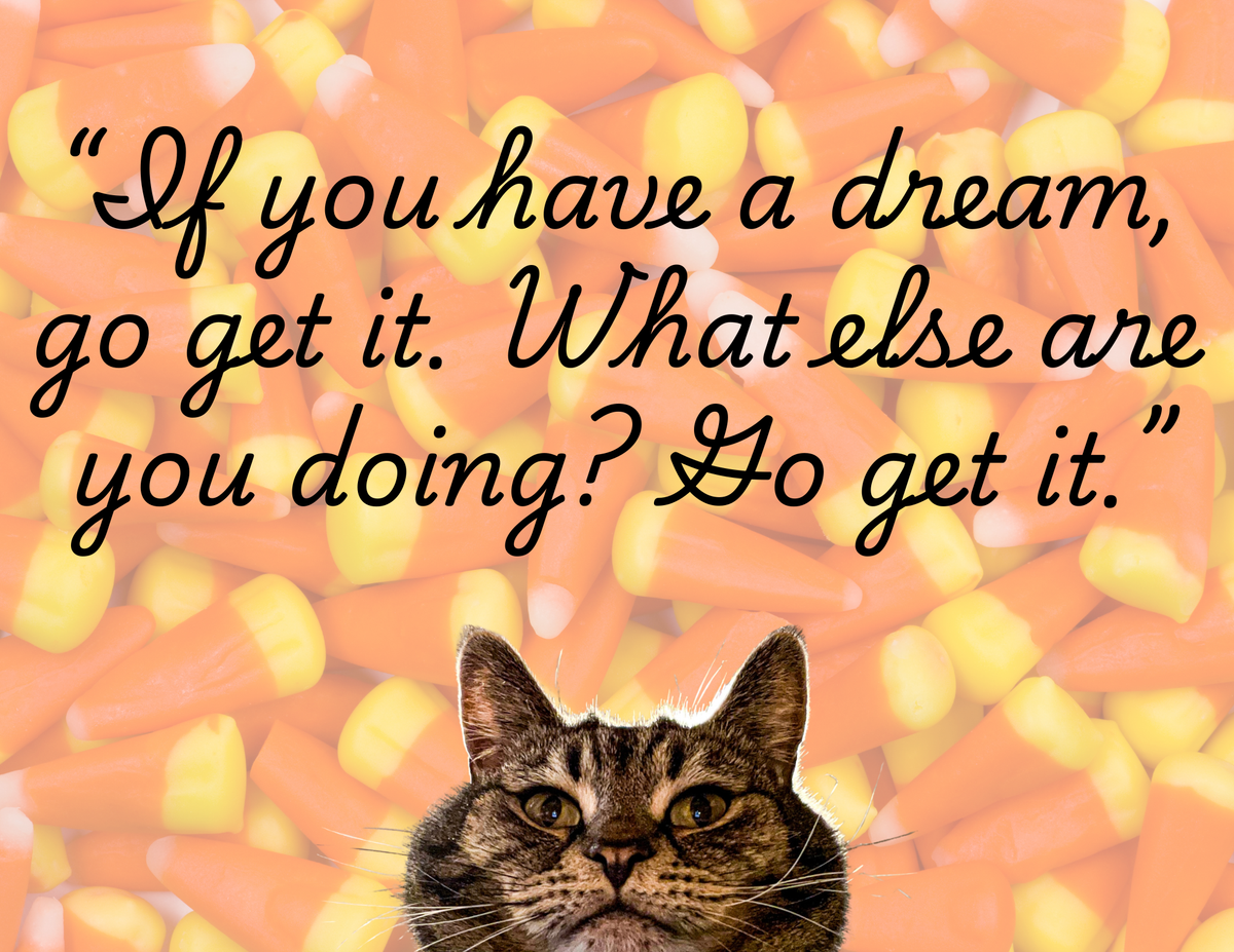 2027 Sticky the Kitty Calendar