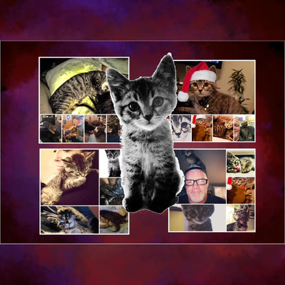 Sticky the Kitty - A Sticky Situation - Volume 1
