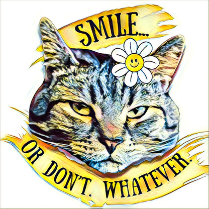 “Smile… or don’t. Whatever.” Sticker