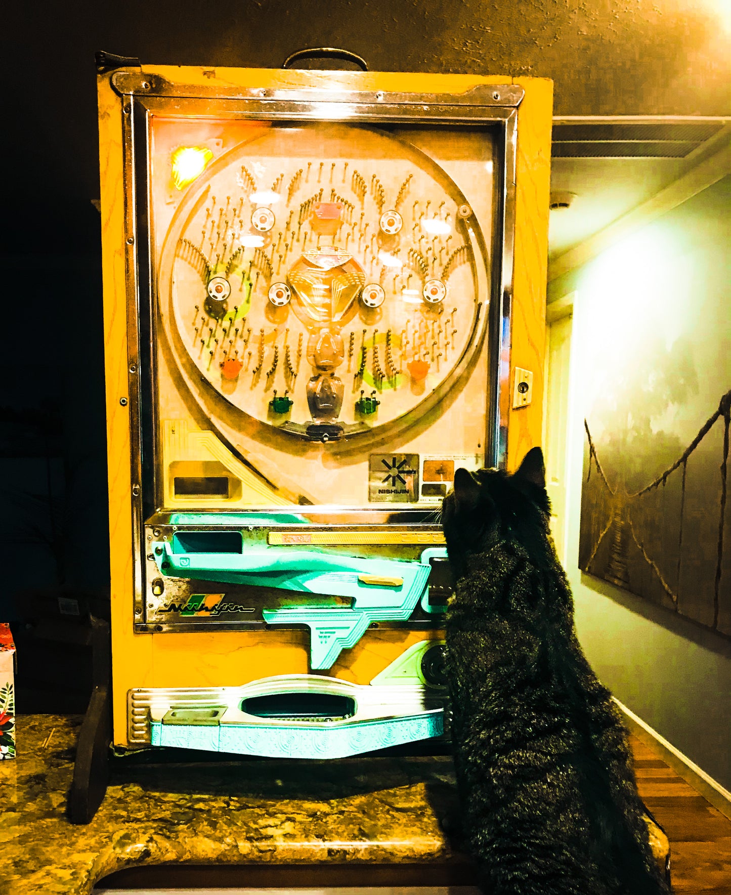 Free Cats Find You and a Little Sticky Magic