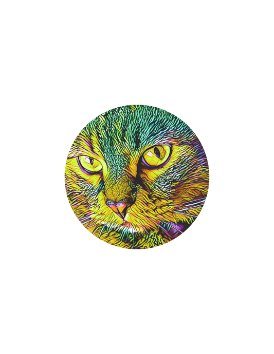 Sunset Sticky – 6” Clear Sun Catcher Sticker