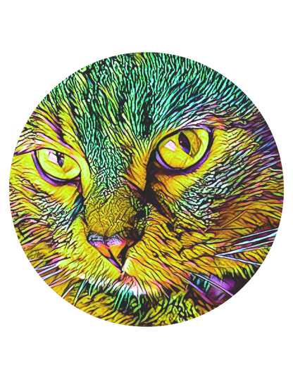 Sunset Sticky – Large Clear Sun Catcher Sticker