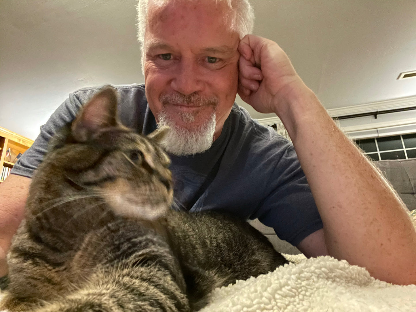 Free Cats Find You and a Little Sticky Magic