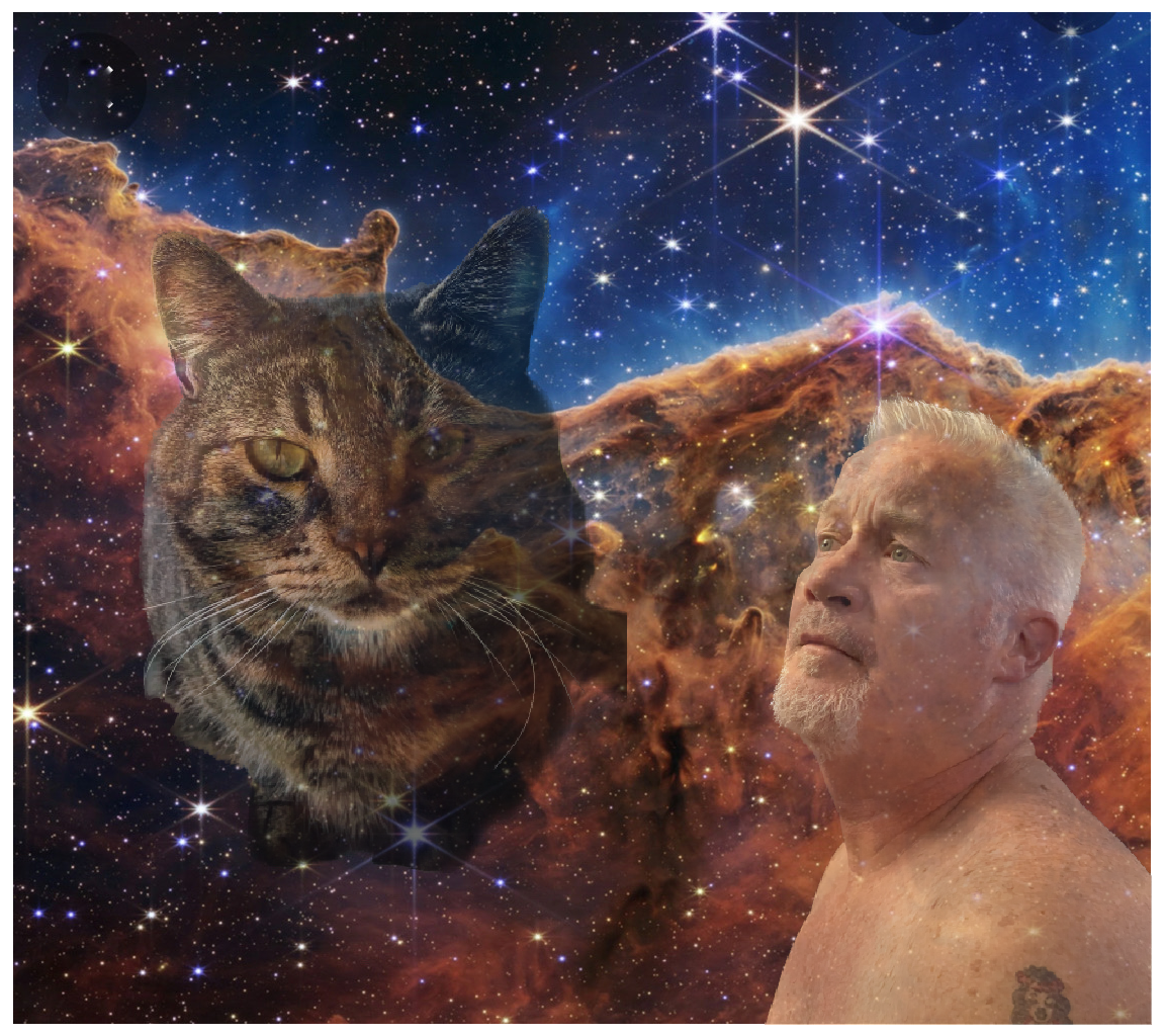 Free Cats Find You and a Little Sticky Magic