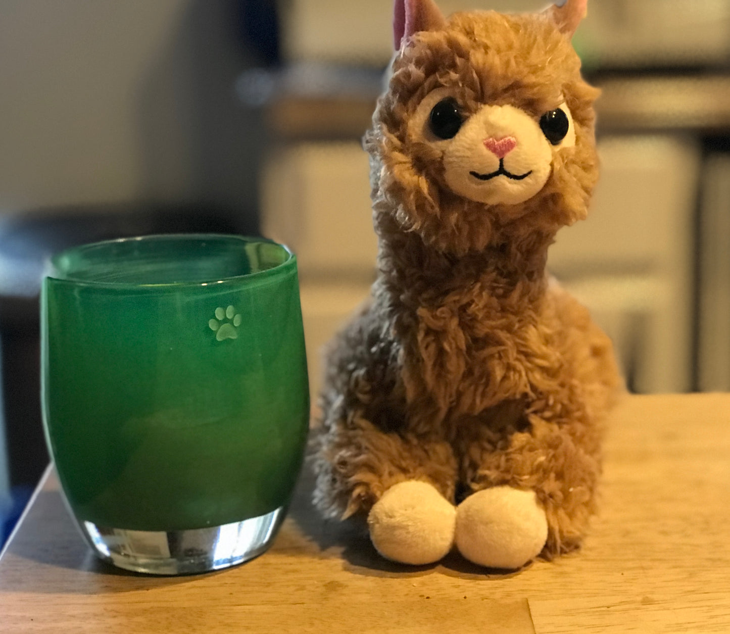 Cats Find You; 2nd Edition (Personalized and signed by Chuck and more importantly, Sticky)