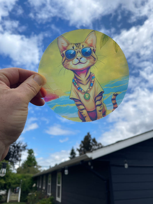 Sun Kissed Sticky Sun Catcher