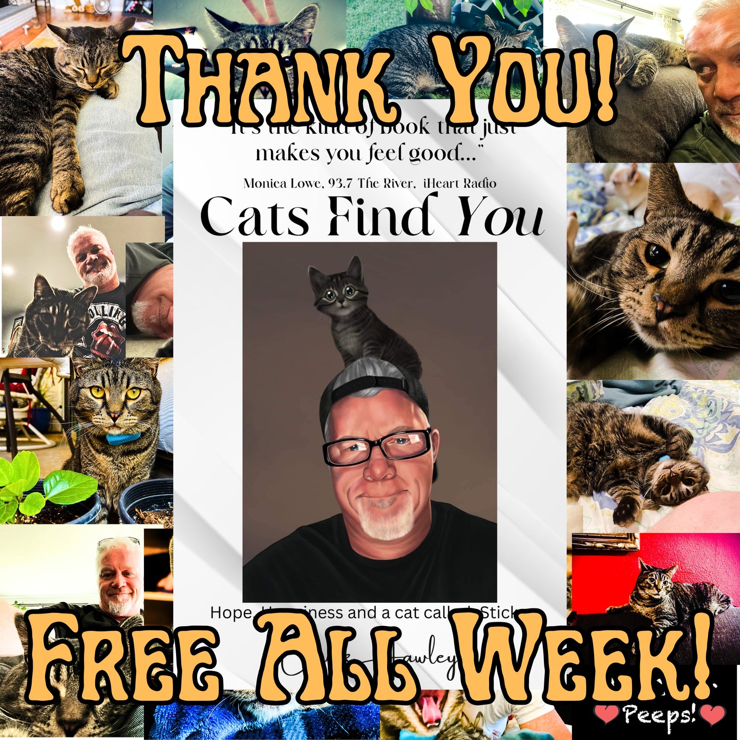 Free Cats Find You and a Little Sticky Magic