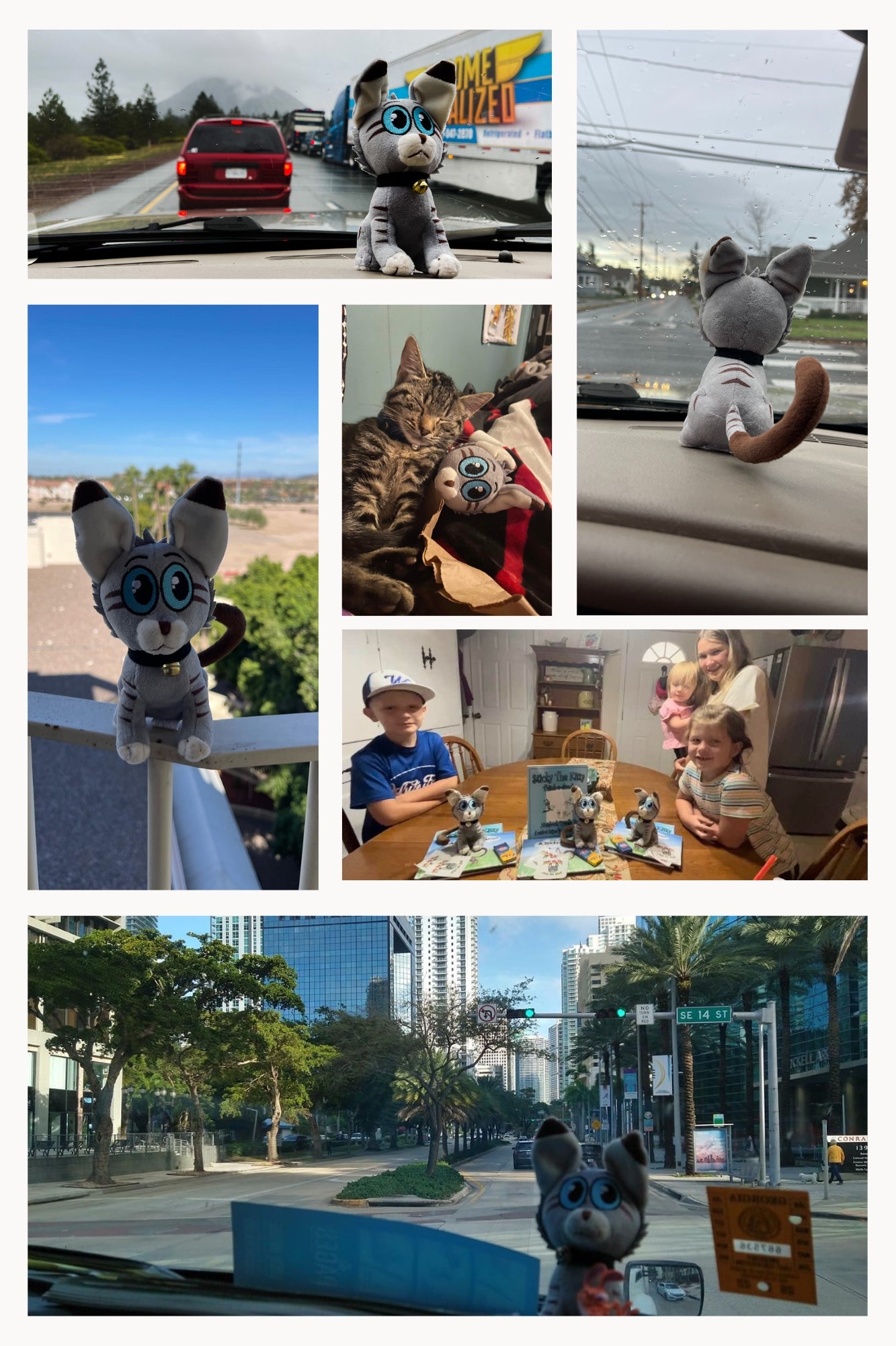 Cats Find You; 2nd Edition (Personalized and signed by Chuck and more importantly, Sticky)