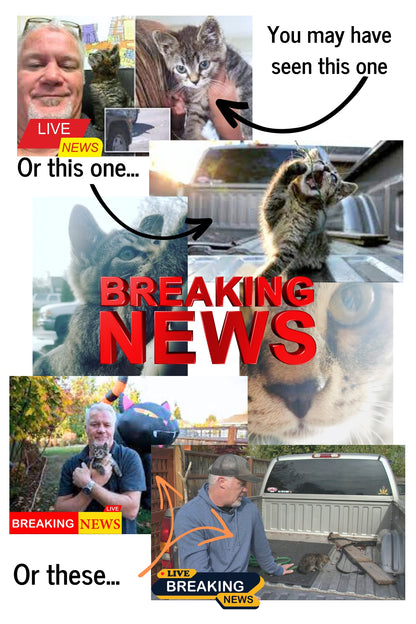 Cats Find You; 2nd Edition (Personalized and signed by Chuck and more importantly, Sticky)